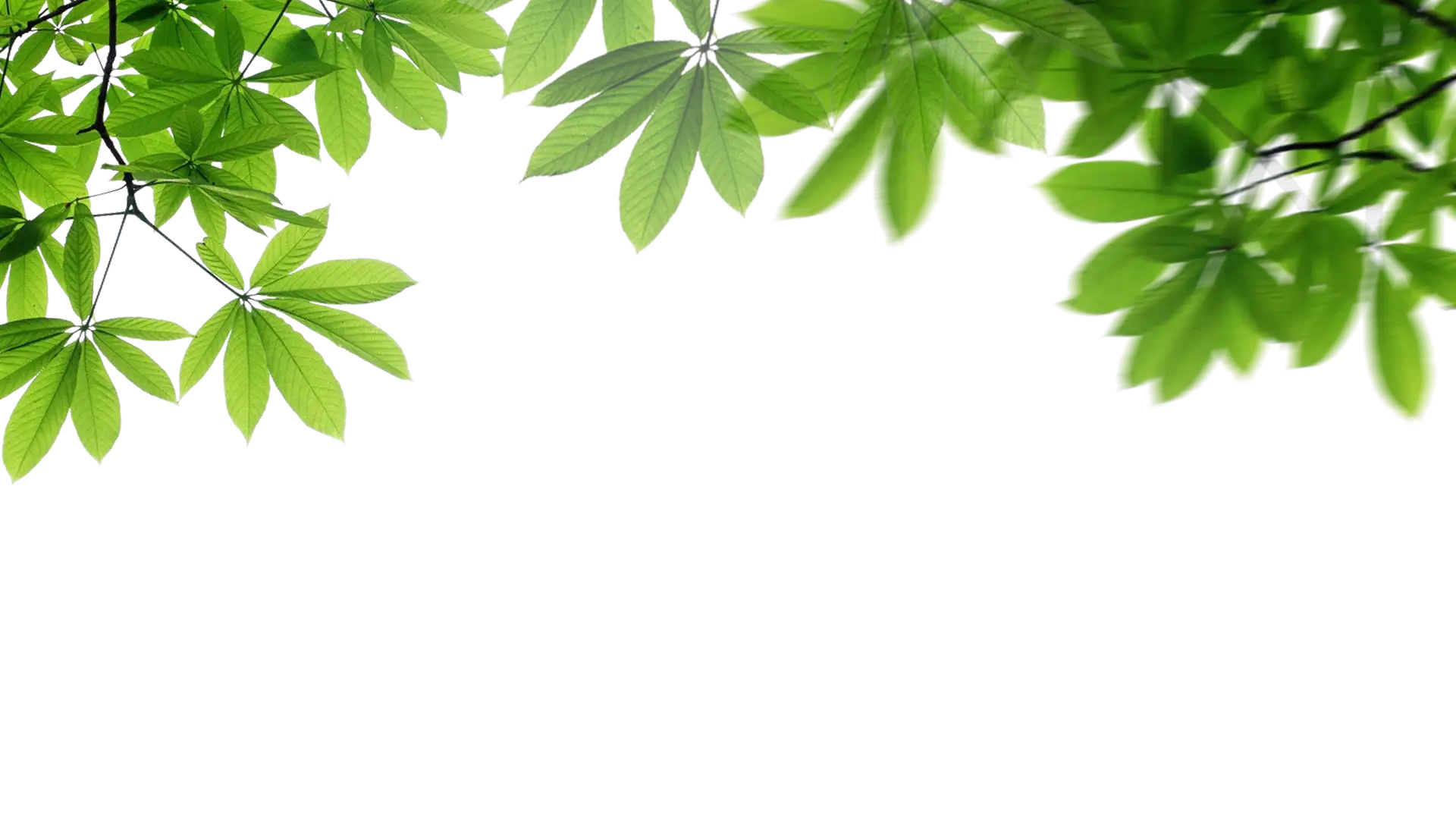 Leaves Ornament